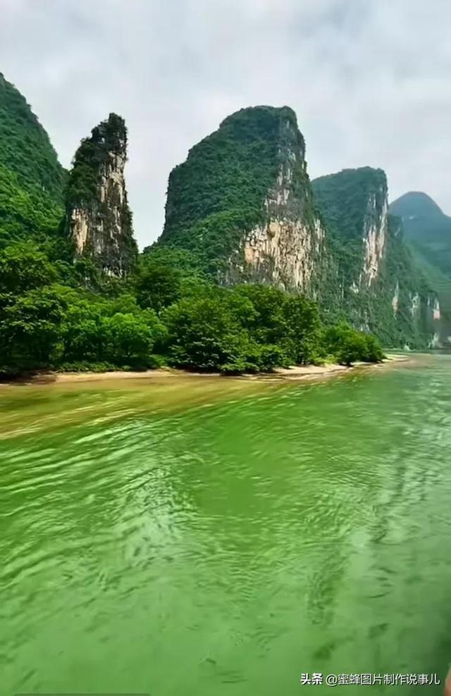 妙鸭相机app下载官网
