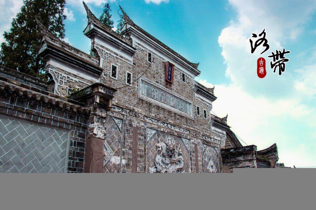 逃离变色龙森林